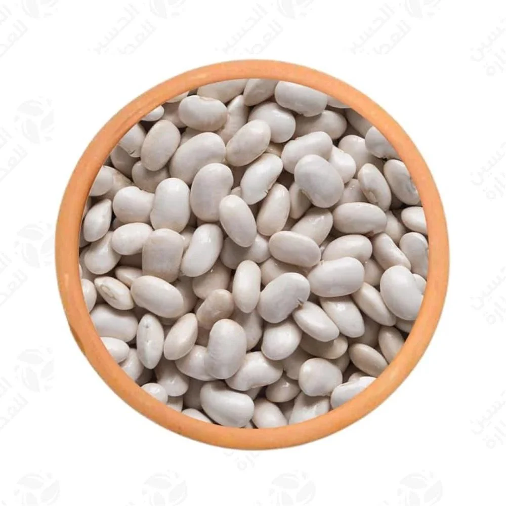 khayrat blady white beans 850 g × 10 packs khayrat blady white beans 850 g × 10 packs